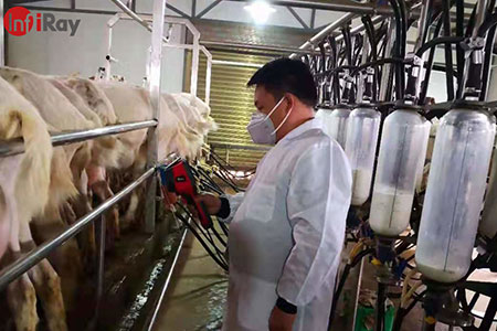 Application des caméras thermiques dans l'industrie laitière: pour découvrir rapidement les maladies chez les vaches laitières et les chèvres