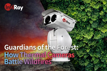 Gardiens de la forêt: comment les caméras thermiques combattent les incendies de forêt