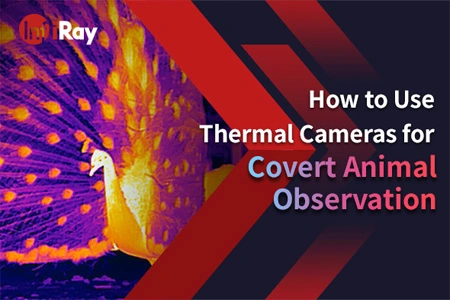 Comment utiliser les caméras thermiques pour l'observation des animaux couverts