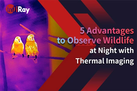 5 avantages pour observer la faune la nuit avec l'imagerie thermique