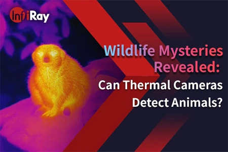 Les mystères de la faune révélés: les caméras thermiques peuvent-elles détecter les animaux?